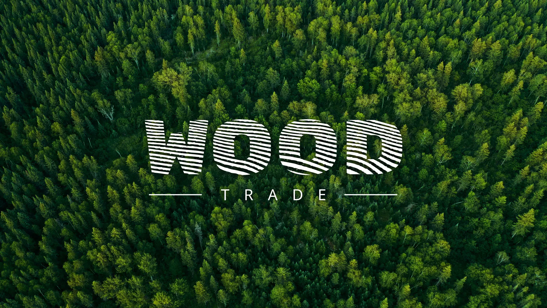 Разработка интернет-магазина компании «Wood Trade» в Хвалынске