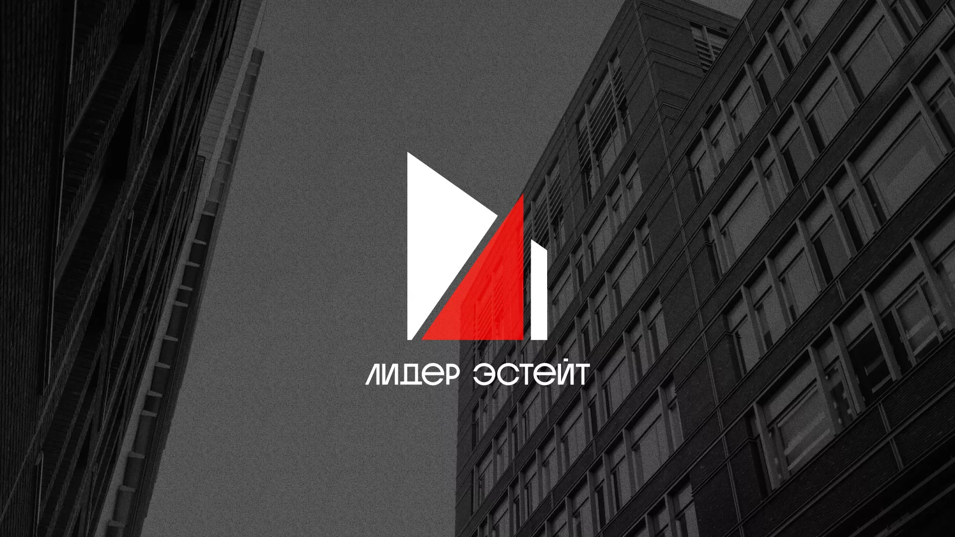 Сделали логотип для агентства недвижимости «Лидер Эстейт» в Хвалынске